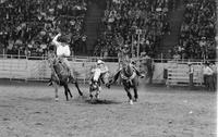 Jake Prawl Steer wrestling