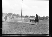 Bill Steppe - Don Colwell Team Roping