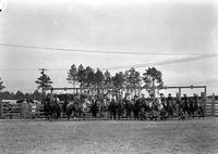 [Cowboys & Cowgirls on horseback in line in front of chutes; Rodeo clown & other cowboys in front]
