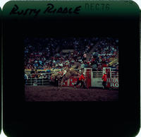Rusty Riddle on Moonshine