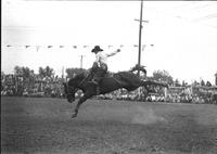 [Unidentified Cowboy riding and staying with airborne bronc whose hind legs are kicking up and out]