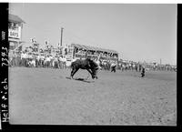 Bob Olson off Faraway