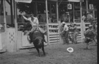 R.B. Brooks on Bull #113