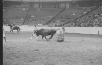 Rodeo clown Jerry Don Galloway Bull fighting