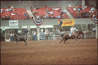 Jeff Wheelis Steer roping