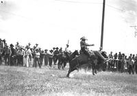 Bennie Bender Riding Wild Bull Sheridan, Wyo Rodeo