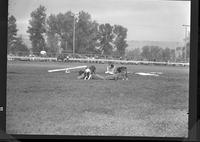 Jay Sisler and Dogs