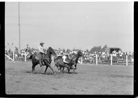 Cliff Gunderson Steer Wrestling