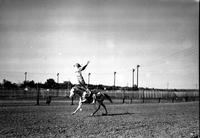 [Unidentified Cowgirl doing Hippodrome stand with arms raised out behind her]