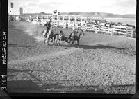 Wayne Gardipee Steer Wrestling