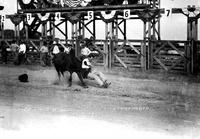 Ed Davis Bulldogging Trenton Fair & Rodeo