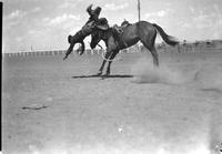 [Unidentified Cowboy leaving over head of bucking bronc]
