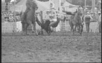 John Andrews Steer wrestling