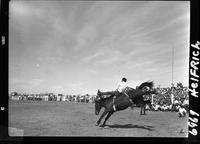 Bud Linderman on Skidoo