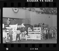 Ken Austin on Brown Bomber