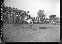 Ross Dollarhide on Ponoka