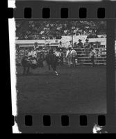 Byron Walker Steer wrestling