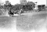 Dave Campbell Bulldogging, Iowa's Championship Rodeo, Sidney, Iowa, 1936