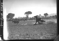 Fred Darnell Calf Roping