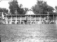 [Unidentified cowboy thrown from bronc]