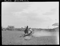 Royce Sewalt Calf Roping