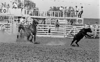 John Christian Calf roping