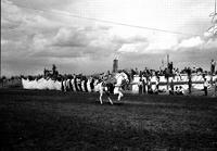 [Unidentified Cowgirl doing Side Stand Neck Straddle with chest on side of horse]