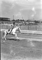 [Unidentified cowboy on galloping horse on track facing camera with rollercoaster in background]