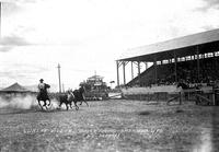 Curley Witzel Bulldogging Sheridan, Wyo.