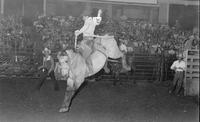 Jim Pratt on Big Buck