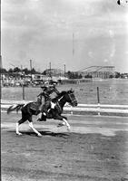 [Unidentified Swift's Jewel cowboy on galloping horse on track]