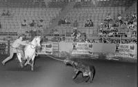 Bill Tyer Calf roping