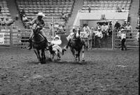 Tommy Combs Steer wrestling