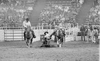 Wade Berry Steer wrestling