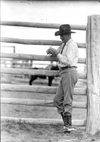 [Unidentified older cowboy leaning on fence and rolling a cigarette]