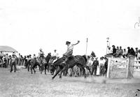 Leo Murray on "Dynamite" Sheridan, Wyo. Rodeo