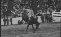 Sandy Erisman Barrel racing