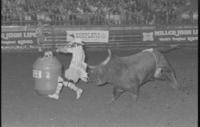 Rodeo clowns, Viers, Burnham, Burney, & Anderson, Bull fighting