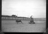 Vern Castro Calf Roping