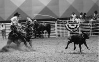 Doug Clark Calf roping