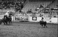 Don West Calf roping
