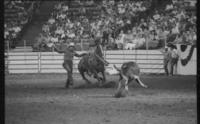 Bill Rawson Calf roping