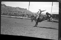 Bill Ramsey on Tojo