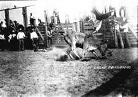 The Way They Ride the Steers, Great Falls, Rodeo