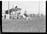 Bill Harvey Bareback