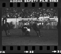 Joe Dorenkamp Steer wrestling