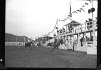 Larry Daniels on Yellow Jacket