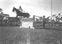 [Unidentified cowgirl riding horse over jump]
