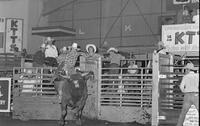 Rusty O'Donnell on Bull #149
