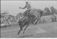 Kevin Bowtell on Miss Black